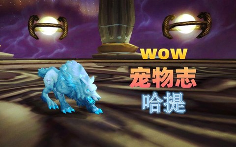 魔兽世界哈提是什么[图1]