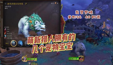 魔兽世界猎人20级带什么宝宝[图2]