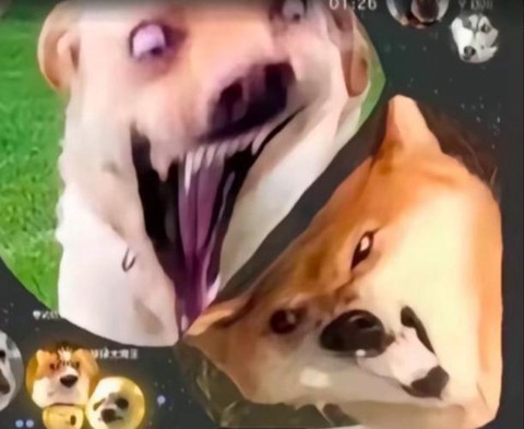 球球大作战怎么表情包[图2]